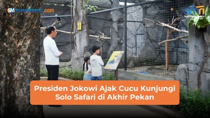 Presiden Jokowi Ajak Cucu Kunjungi Solo Safari di Akhir Pekan