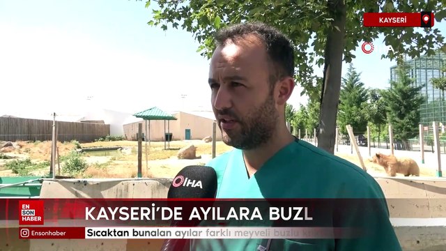 Kayseri'de ayılara buzlu kokteyl