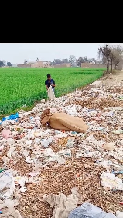 jagah_ji_laganeki_dunya_#shorts_#shortsvideo(720p)