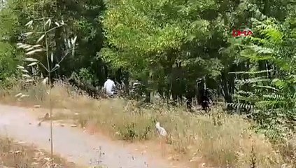 Esenyurt'ta boş arazide kadın cesedi bulundu