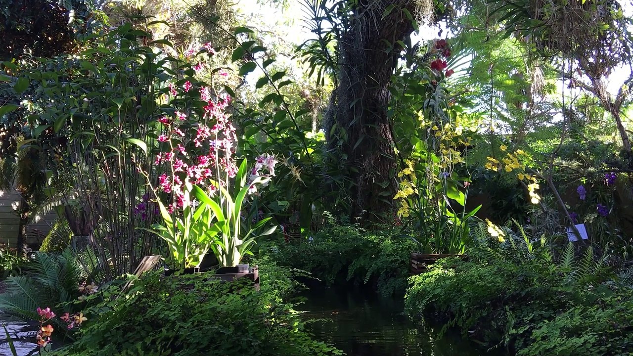 "Morning Serenity: Easy Meditation to Set the Tone for Your Day"