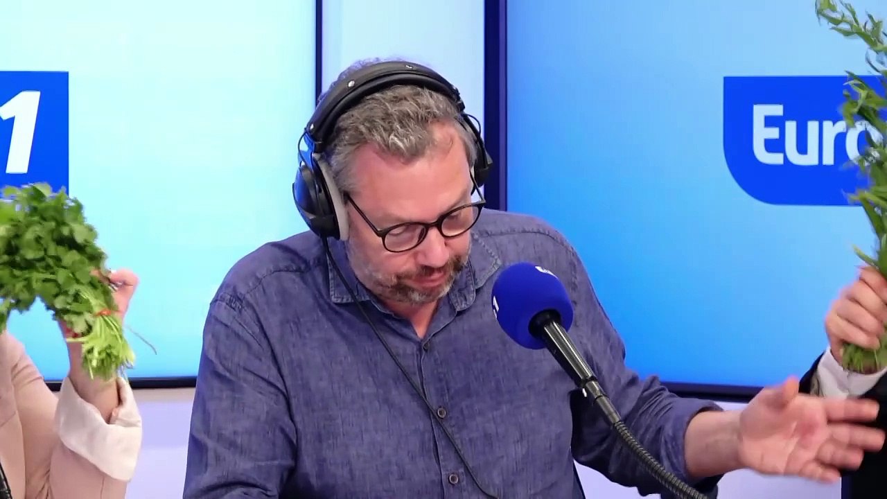 Estragon, coriandre et sauge : les conseils d'Olivier Poels