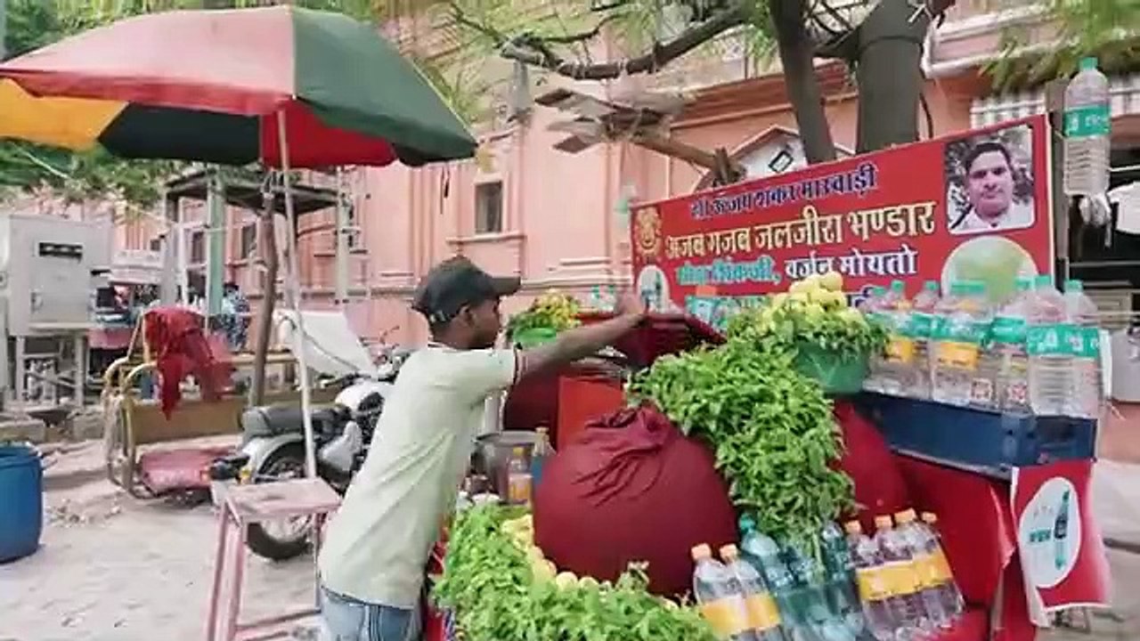 The Majestic Pink City  EP.27 - Jaipur - Pakistani Visiting India- wildlens by abrar