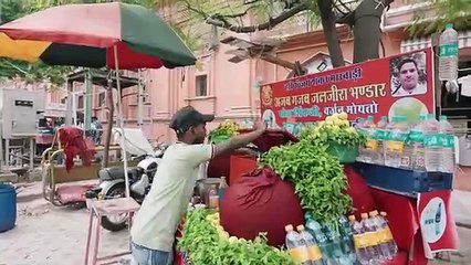 The Majestic Pink City  EP.27 - Jaipur - Pakistani Visiting India- wildlens by abrar