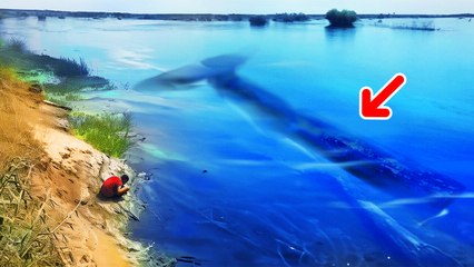 Ancient Wood Discovery in Zambia Could Rewrite Human History 🌍