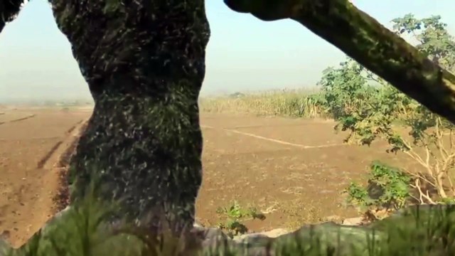 big dinosaur & dinosaurs best video battle video dinosaurs video dinosaur video and battle