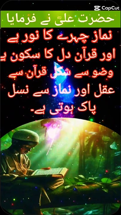 Hazrat Ali Quotes islamic sifaat studio  on dailymotion
