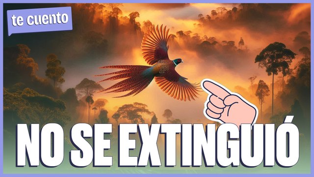 CREÍAMOS QUE ESTOS ANIMALES estaban MUERTOS pero NOS EQUIVOCAMOS