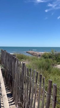 Viens faire trempette en Camargue