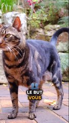 Maîtrisez l'Algorithme des Réseaux Sociaux pour Attirer Plus de Prospects 🚀