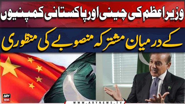PM Shehbaz approves joint venture between Chinese and Pakistani companies