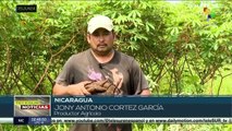 Políticas gubernamentales están impactando la diversificación agrícola de Nicaragua