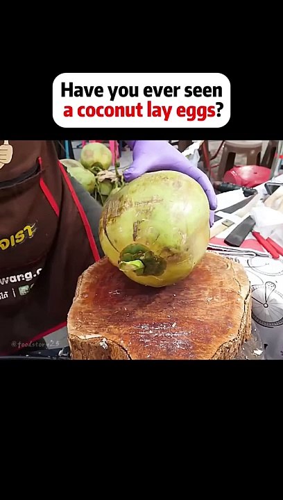 Have you seen a coconut lay eggs?
