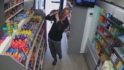 Grumpy pet tries to wreak havoc during human's quick shopping trip