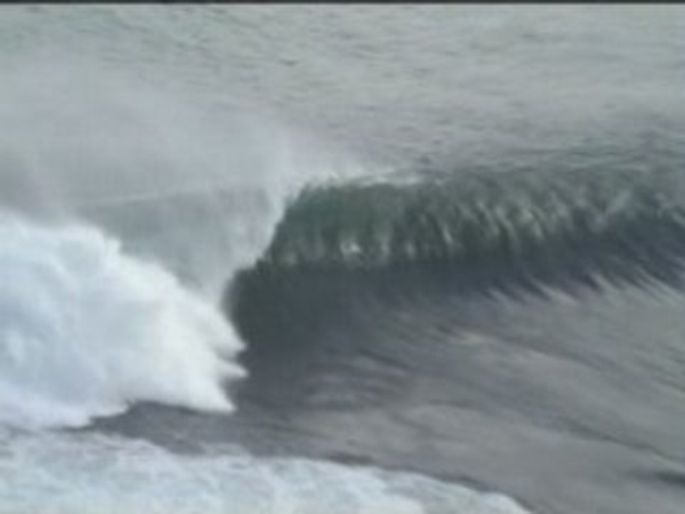Indo 2007