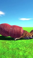 3D FUN Tigers vs Blade Worm