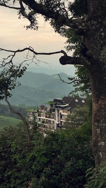 Top ten resorts in Munnar