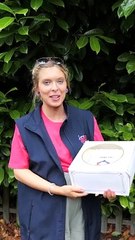 Dougies Goodies delivering free cakes as part of a secret mission!