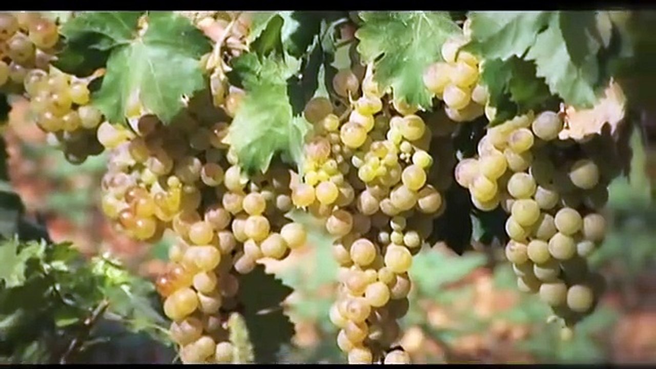 Gastronomía de las Islas Baleares Mallorca, Menorca, Ibiza y Formentera