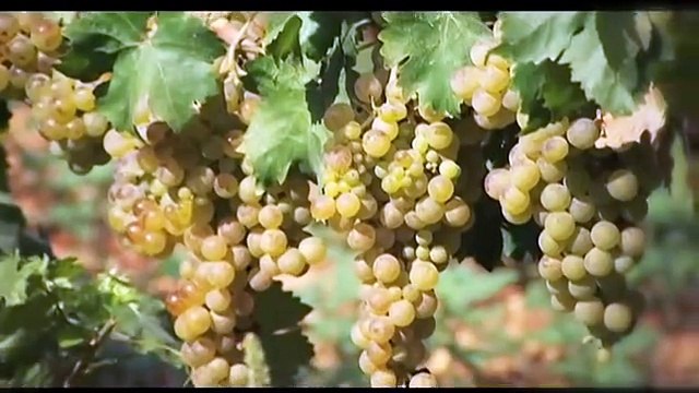 Gastronomía de las Islas Baleares Mallorca, Menorca, Ibiza y Formentera