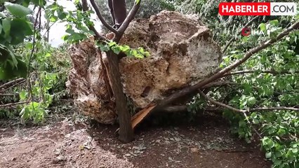 Facianın eşiğinden dönüldü: Kayısı toplarken bahçelerine 10 tonluk kaya düştü