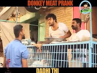 Donkey, Dog and Mouse Meat Prank