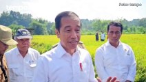 Jokowi Minta Daerah Kirim Kelebihan Produksi Beras ke IKN