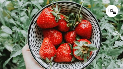 Adiós a mosquitos y moscas: esto es lo que debes poner en la cesta de la fruta para evitarlos