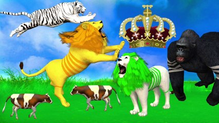 Who is the king of Jungle | Jungle ka Naya Raja kon ho ga | Animals stories in Urdu & Hindi