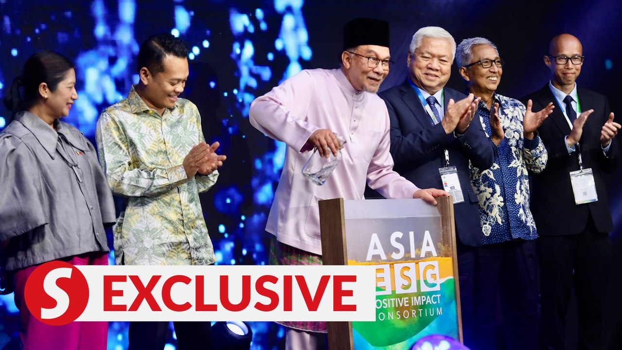 Businesses drive towards sustainability change to preserve environment