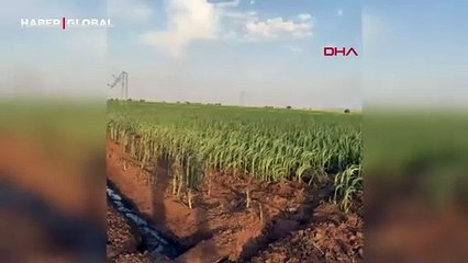 Elektrik tellerinden düşen kıvılcımlar yangın çıkardı