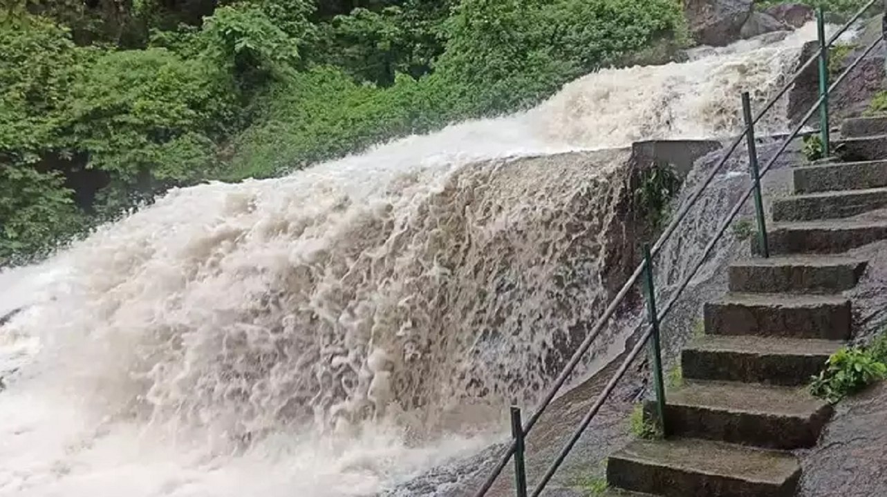 VIDEO: कोयम्बत्तूर और नीलगिरि के कुछ हिस्सों मे...