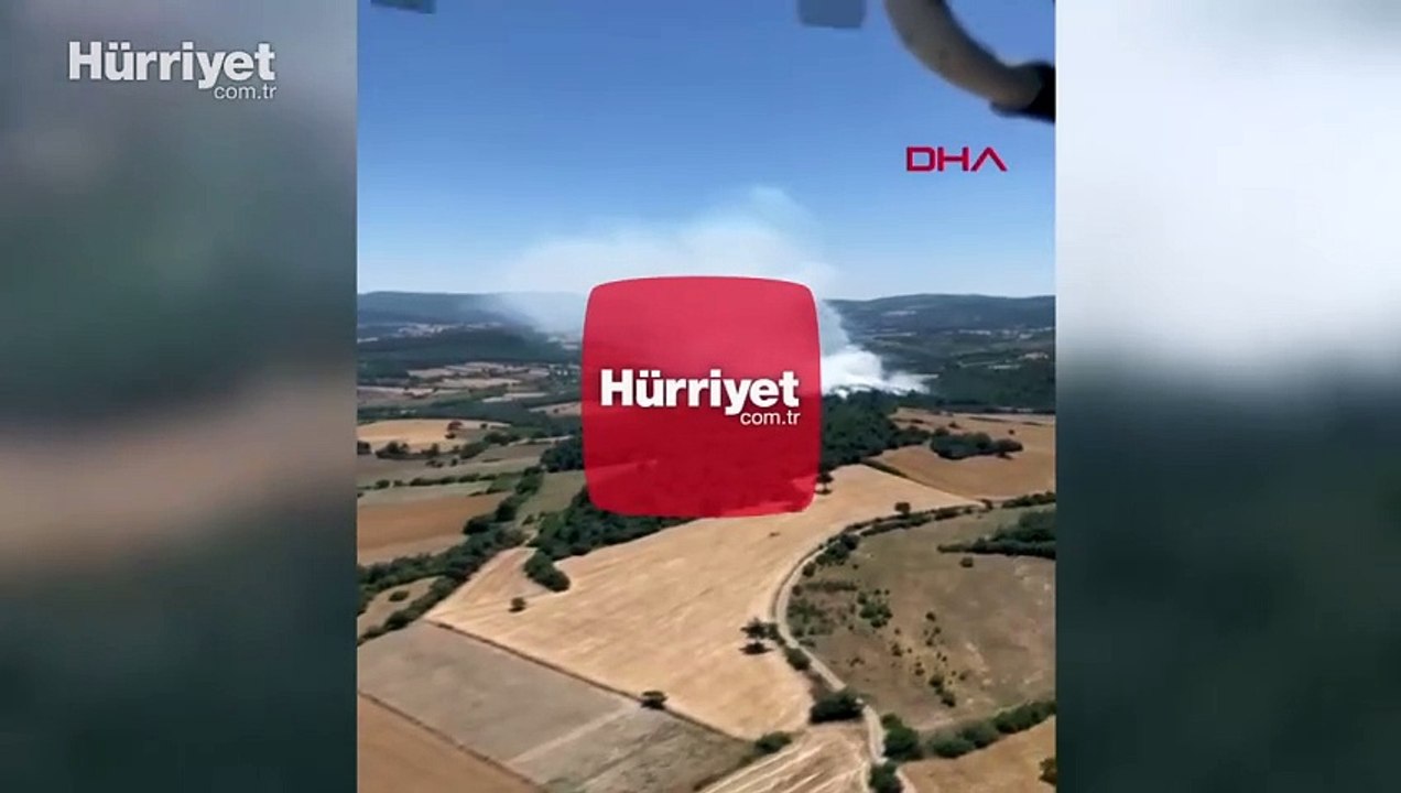 Balıkesir'in Altıeylül ilçesinde orman yangını