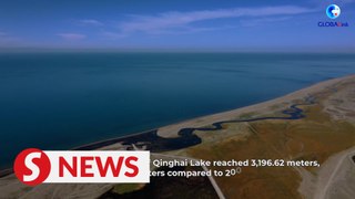 China's largest lake sees rebound of rare fish species