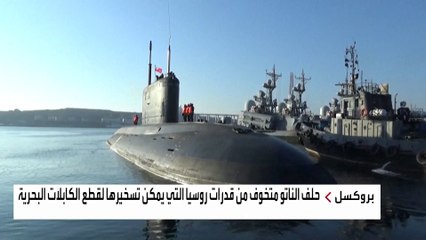 الناتو يخشى إضرار روسيا بشبكة الإنترنت العالمية باستخدام دلافين مدربة