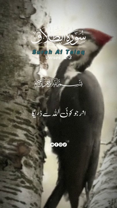 surah tariq ka tarjuma tafseer  Beautiful Voice #islam
