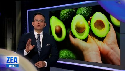 El aguacate es el oro verde de México
