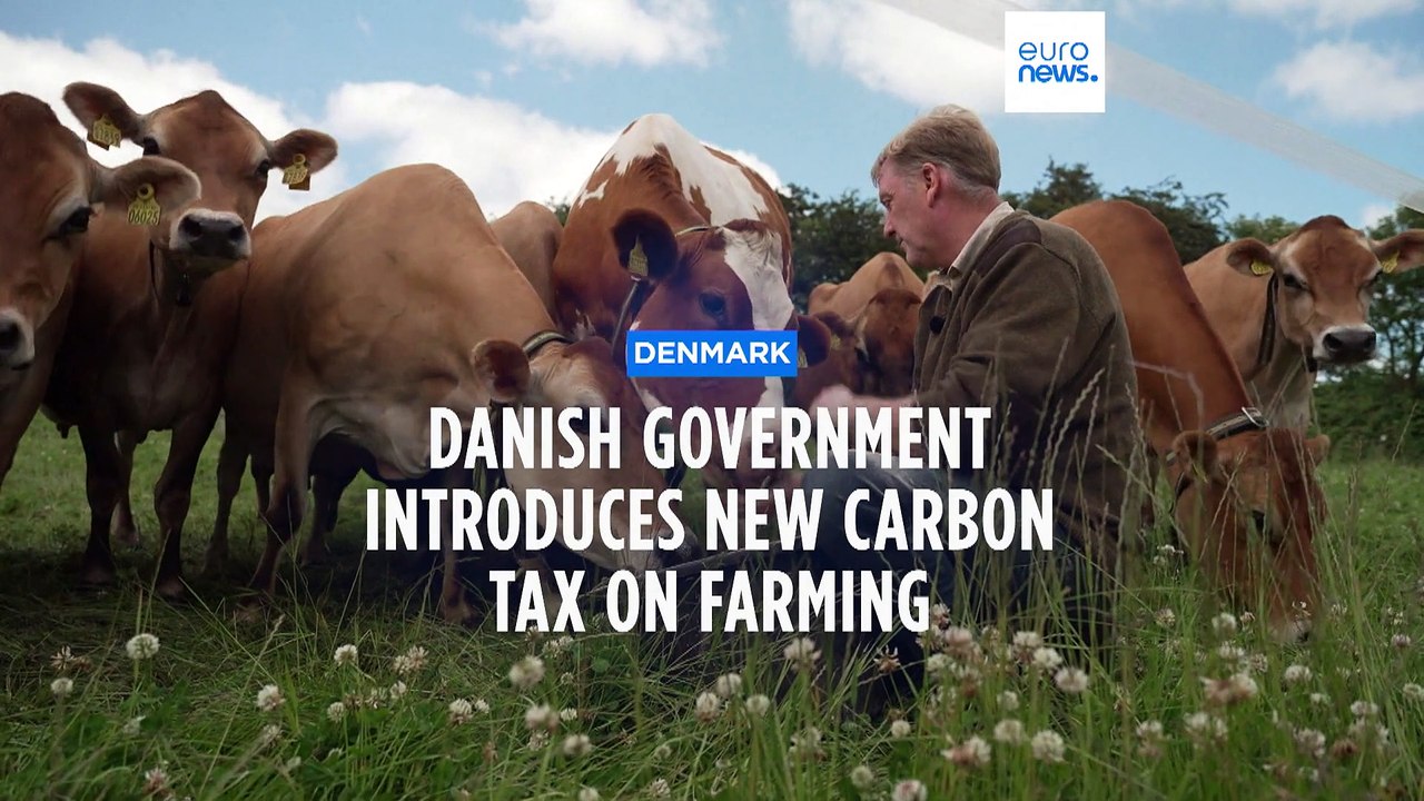Danish livestock farmers to be taxed for cow an...