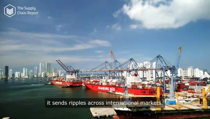 The Impact of Supply Chain Disruptions on Rice Export Prices