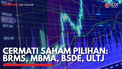 Cermati Saham Pilihan: BRMS, MBMA, BSDE, ULTJ