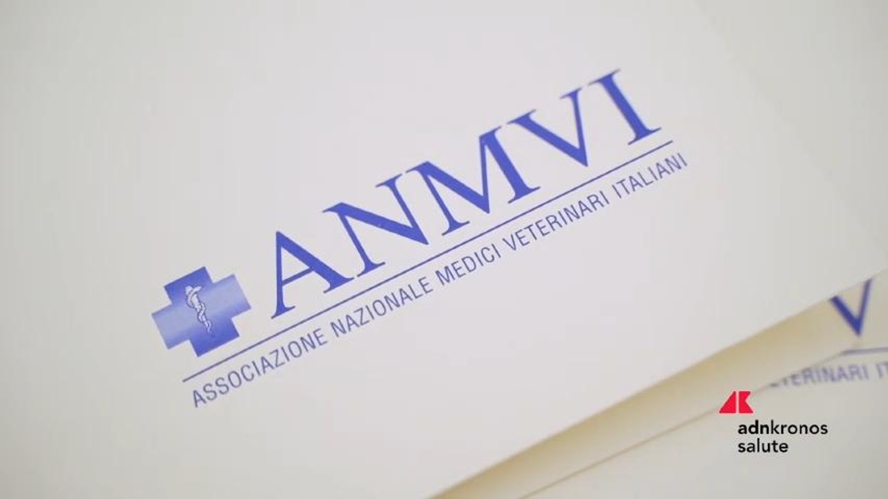 Anmvi, il progetto culturale One Health dei veterinari nelle scuole compie 10 anni Erogate oltre 6.000 ore di lezioni a 33.000 bambini