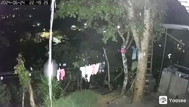 Graban a hombre robando prendas íntimas de mujer