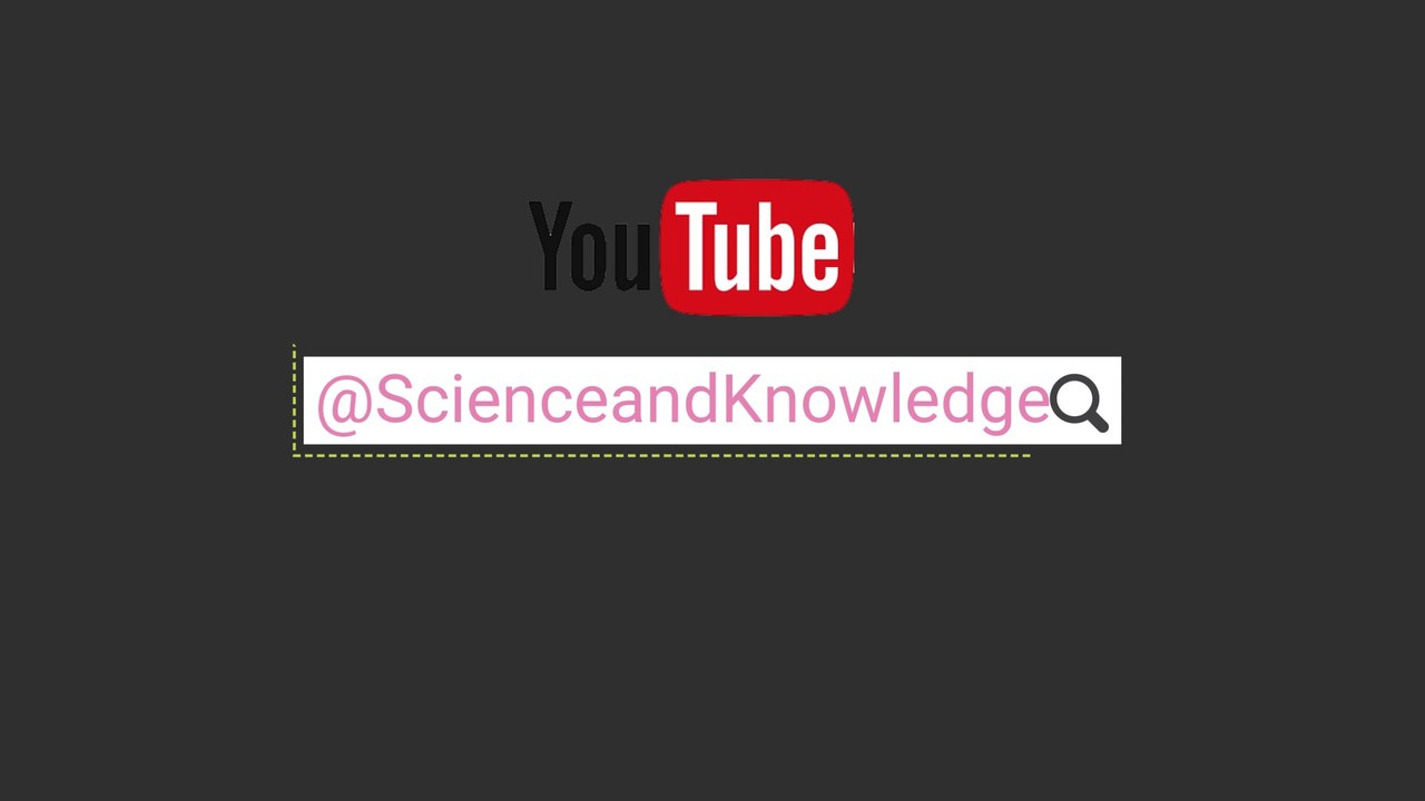 New Phones 2024 — Oukitel C53 Ultra-Thin Phone— 2024 Trailer & Introduction