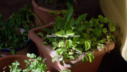 Un lugar común Tráiler