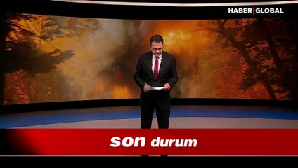 Assos Behram köyünde yangın