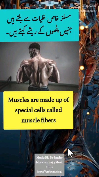 Wow facts | Human facts