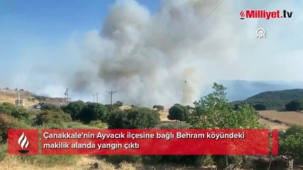Ayvacık'ın Behram köyünde çıkan yangına müdahale ediliyor
