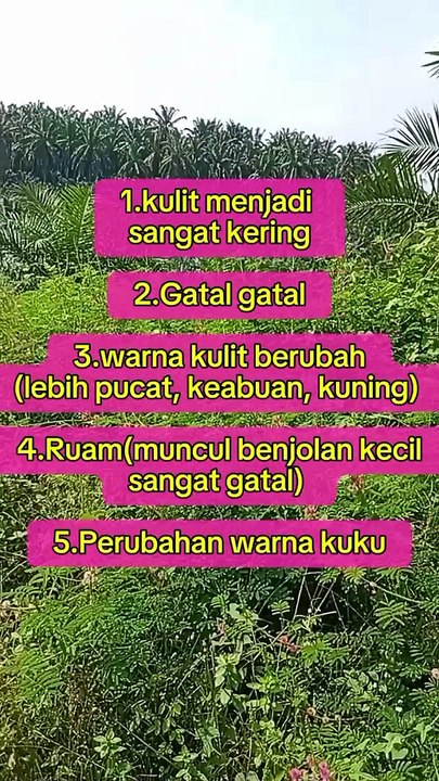 characteristics of people affected by kidney disorders