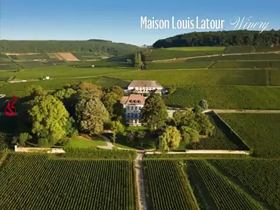 Buy White Wine Online