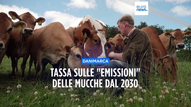 La Danimarca tassa le emissioni delle mucche: una prima volta contro Co2 e metano in agricoltura